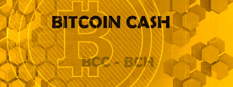 Bitcoin Cash Casino