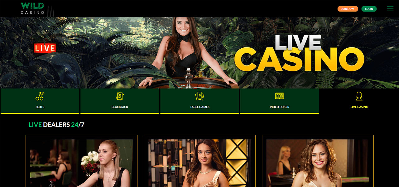 Wild Casino Screenshot